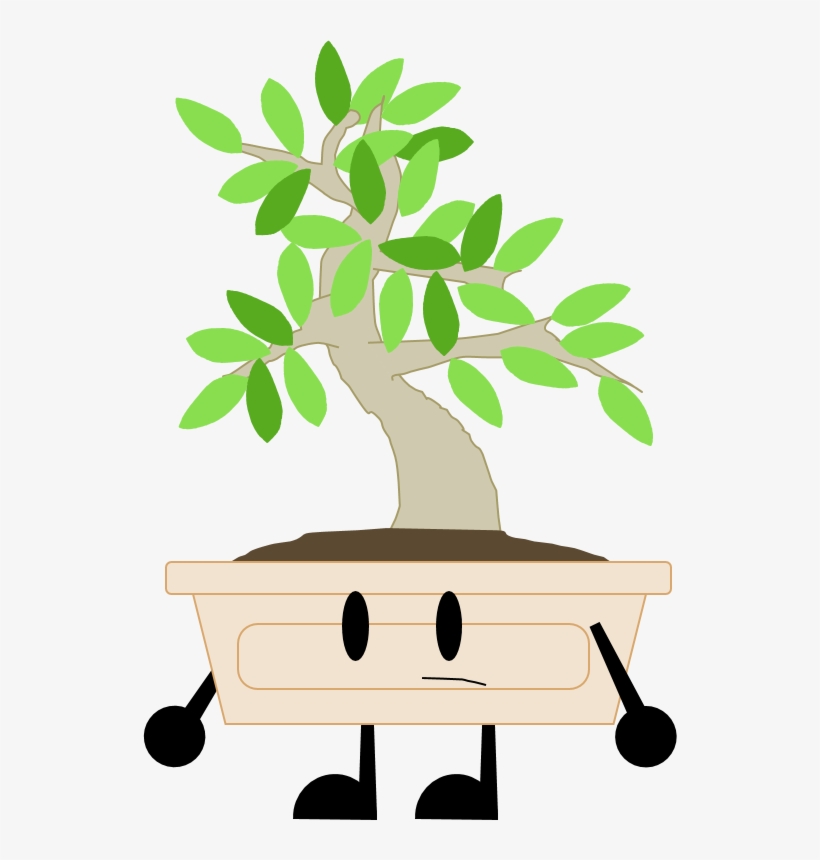 Elm Bonsai, transparent png #3796521