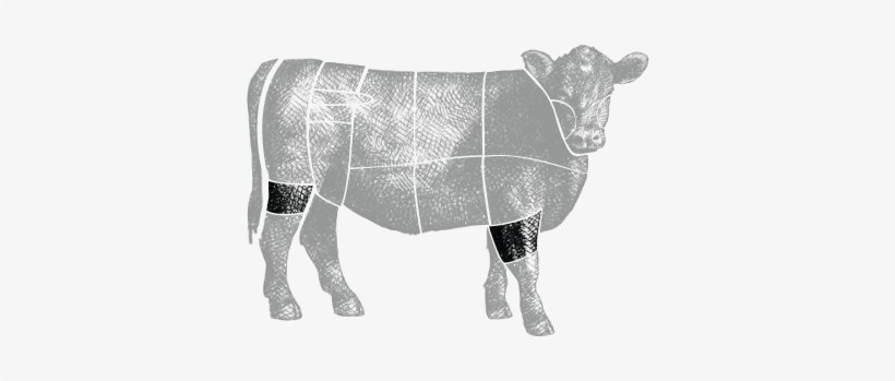 The Femur & Humerus Bones Are Large Bones From The - Beef, transparent png #3797410