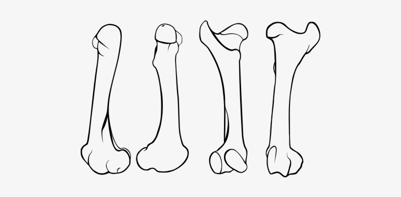 This Image Rendered As Png In Other Widths - Line Art, transparent png #3797697