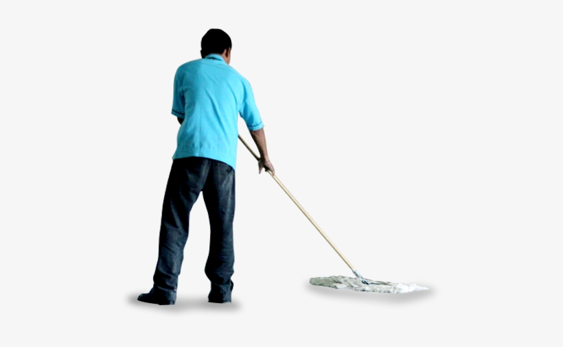 Survey - Everglades, transparent png #3797726