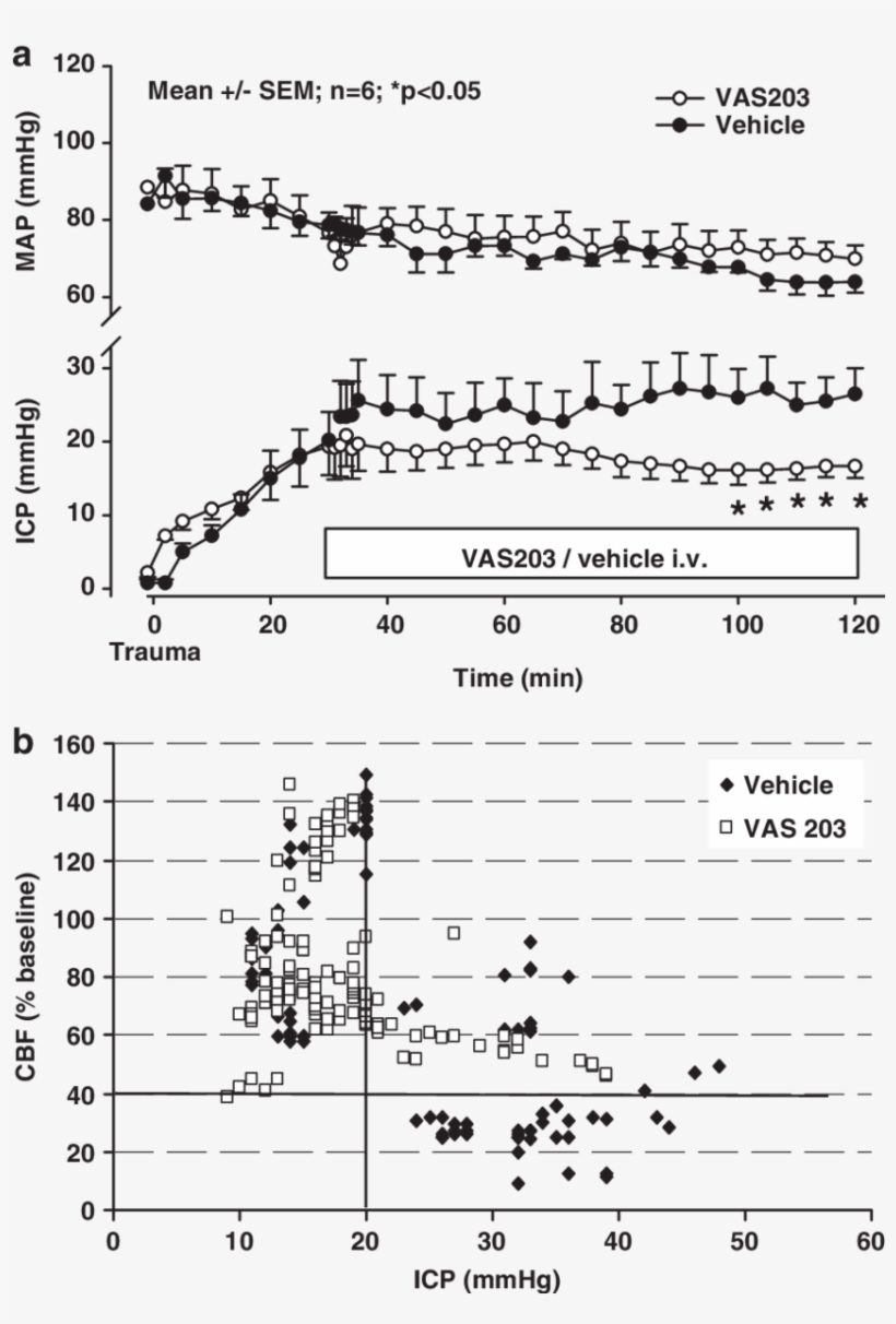 Effect Of Vas203 (i - Document, transparent png #3798123