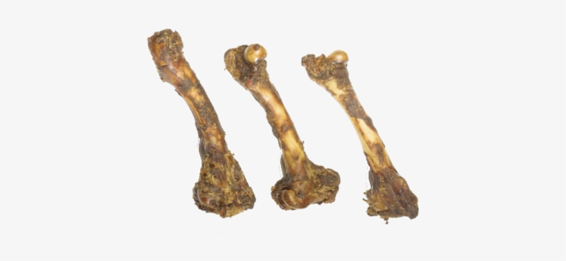 Jones Natural Chews Lamb Femur Bone - Usa Lamb Femur 7-9in, transparent png #3798562
