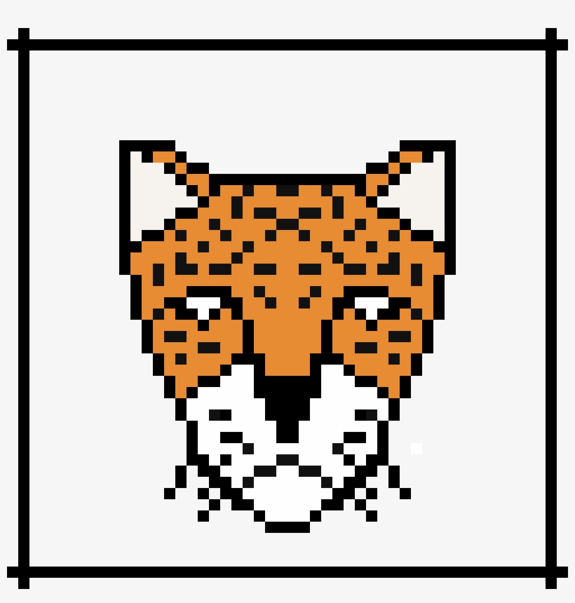 Jaguatec - Cheetah, transparent png #3798590