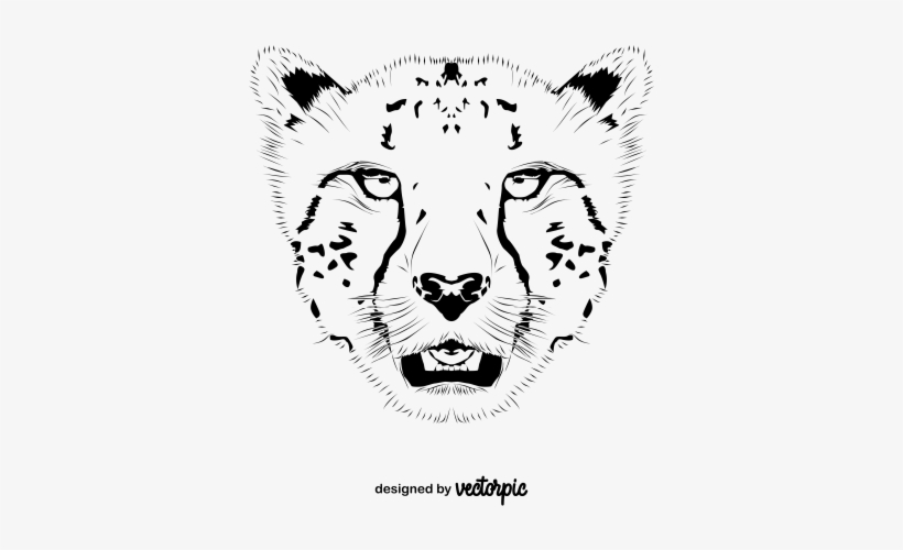 Animal Free Vector Design Cheetah - Cheetah, transparent png #3798644
