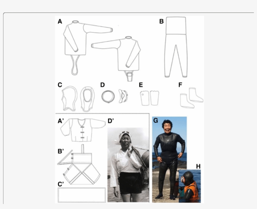 Wetsuit Currently Worn By Haenyeos And Traditional - Haenyeo, transparent png #3798997