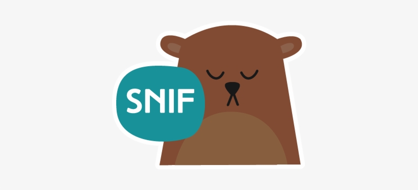 Urso-01 - Cartoon, transparent png #3799093