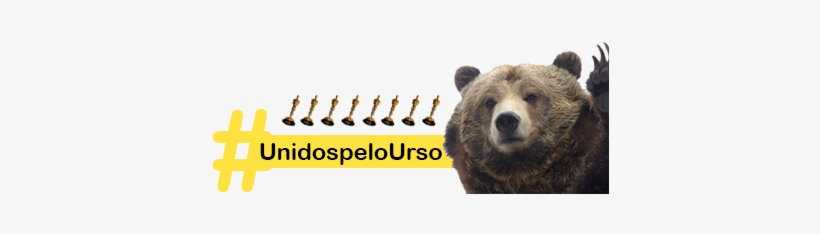 Campanha Para Apoiar O Urso Que Contracenou Com Dicaprio - Bear, transparent png #3799255