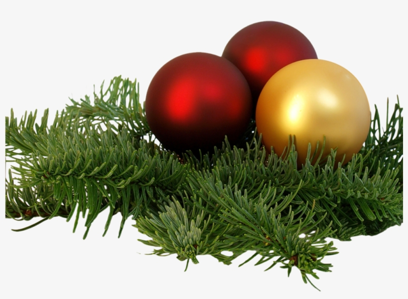 Christmas Branch Png Transparent Image - Free Christmas Decorations Png, transparent png #3799510