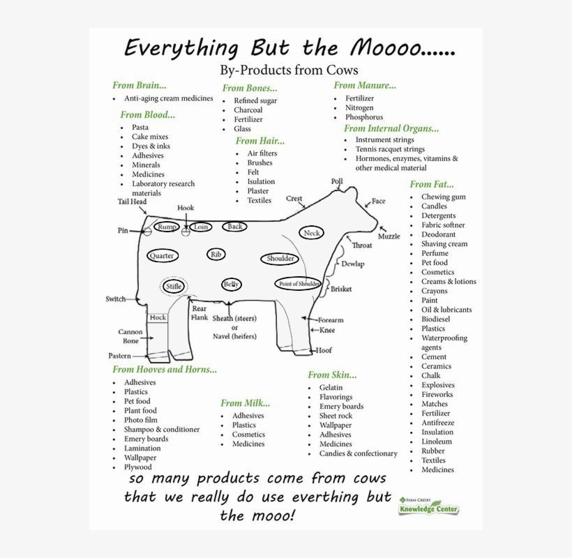 Kind Of Products Come From Cattle, transparent png #380194