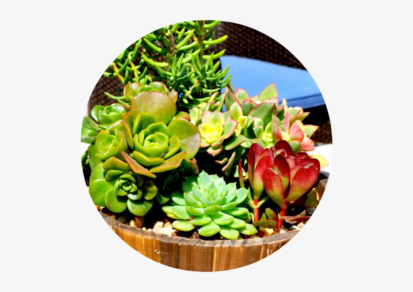 Restaurant & Hotel Arrangements - Artificial Flower, transparent png #380196