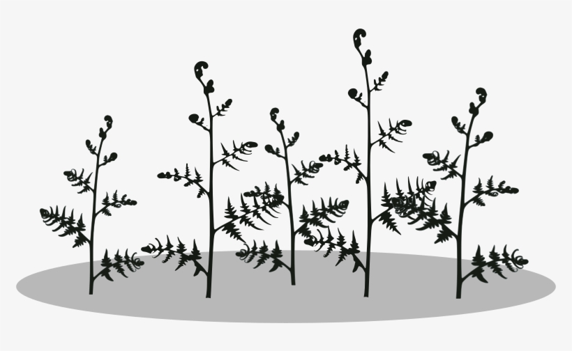 Medium Image - Fougère Sihouette, transparent png #380429