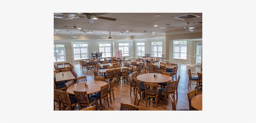 Kappa Gamma/kkg Renovations - Kappa Kappa Gamma South Carolina House, transparent png #380451