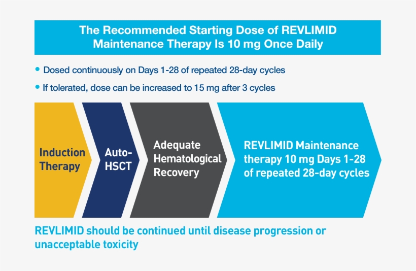 Revlimid Maintenance Therapy Dosing - Lenalidomide, transparent png #380672