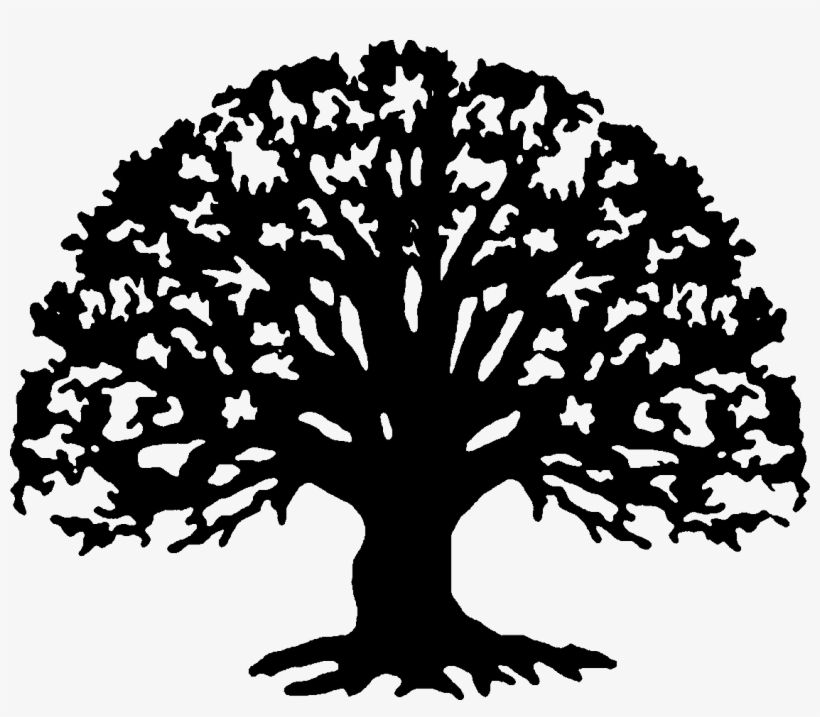 Family Reunion Tree Clipart, transparent png #380848
