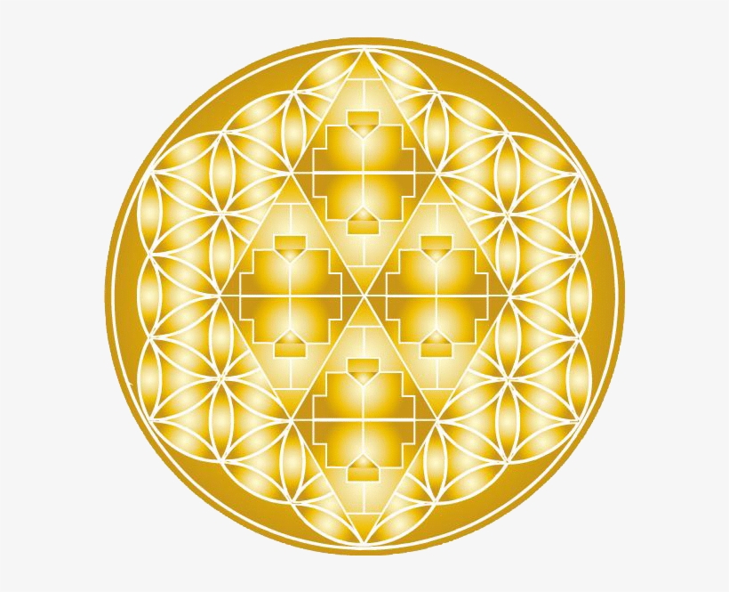 Adam Yellowbird Dearmon - Indigenous Peoples, transparent png #381146