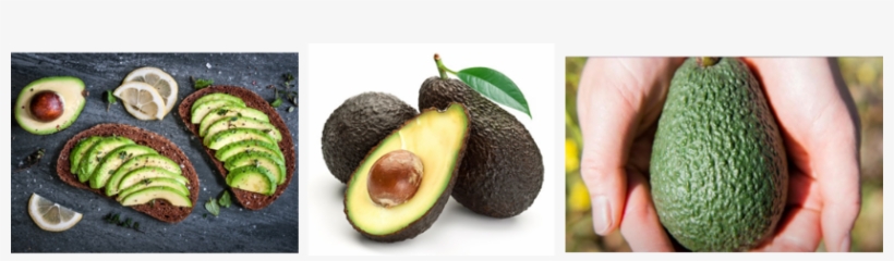 Avocados, transparent png #381289