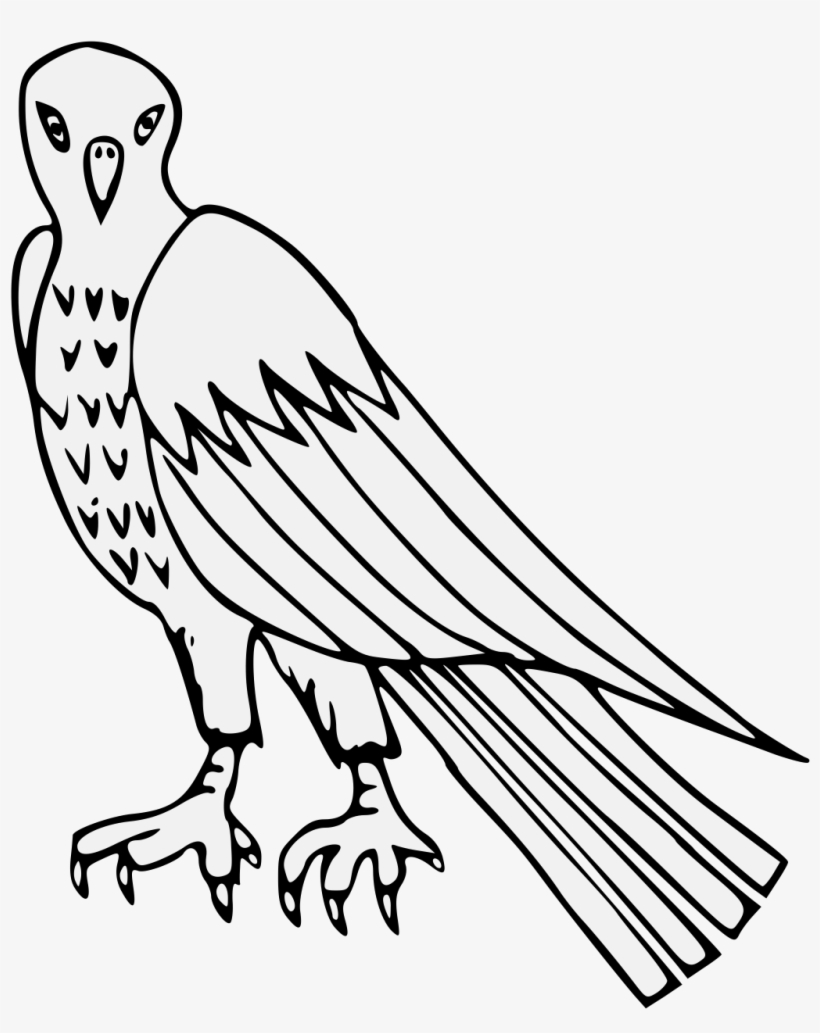 Details, Png - Vulture, transparent png #381373
