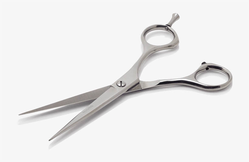 Njord Male Grooming - Dog Groomer, transparent png #381572