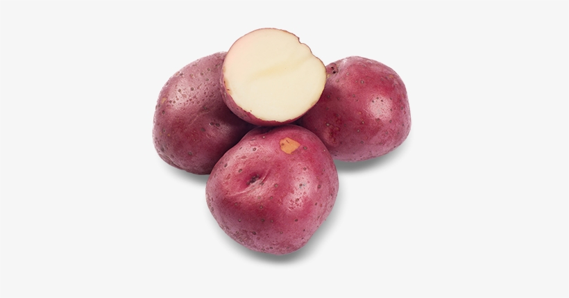 Adirondack Blue Potato, transparent png #381820