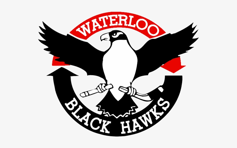Waterloo Black Hawk - Wikipedia, transparent png #381940