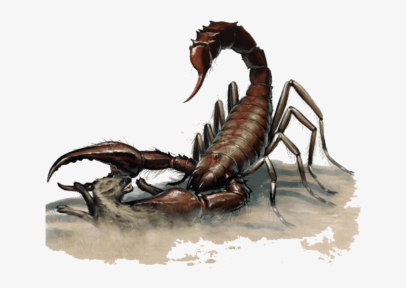 Scorpion, Giant - Dnd 5e Giant Scorpion, transparent png #381960