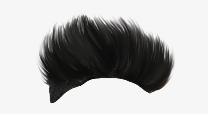 CURLY HAIR FROM BEHIND LOOK, black hair wig transparent background PNG  clipart | HiClipart