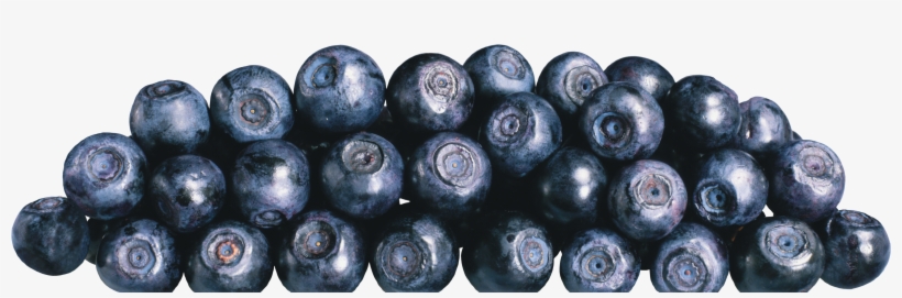 Blueberries Png Image - Blueberry, transparent png #382703