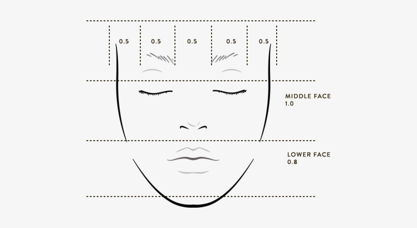 The Golden Ratio - Line Art, transparent png #383002