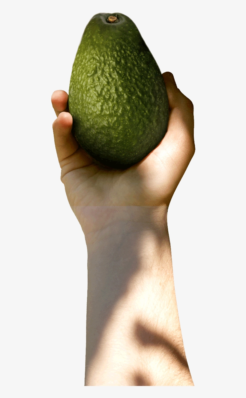 Avocado With Hand Png, transparent png #383563