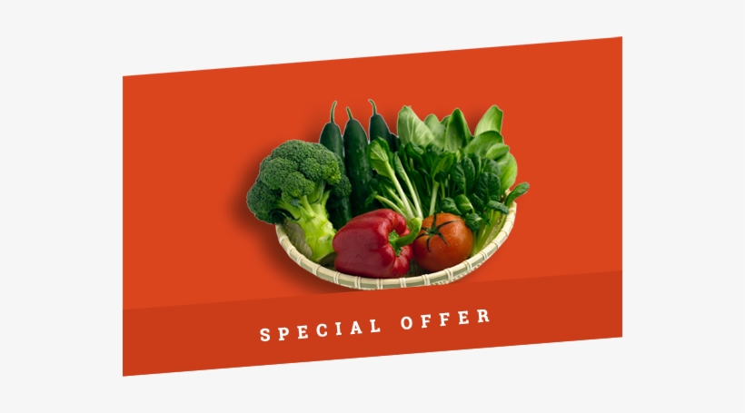 Promotion-banner6 - Nutrition And Weight Loss: Living Gluten Free, transparent png #384151