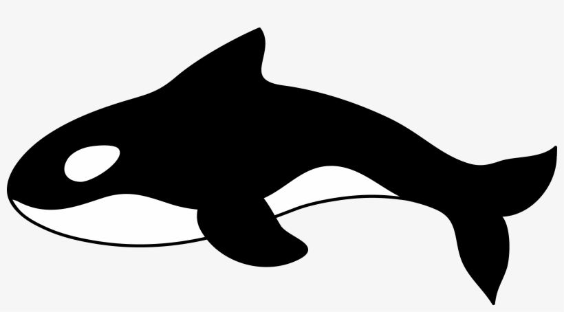Cartoon Whale Png, transparent png #384343