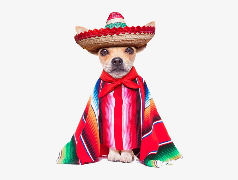 We Will Be Hosting An All Day Cinco De Mayo Event With - Cinco De Mayo 2018, transparent png #384710