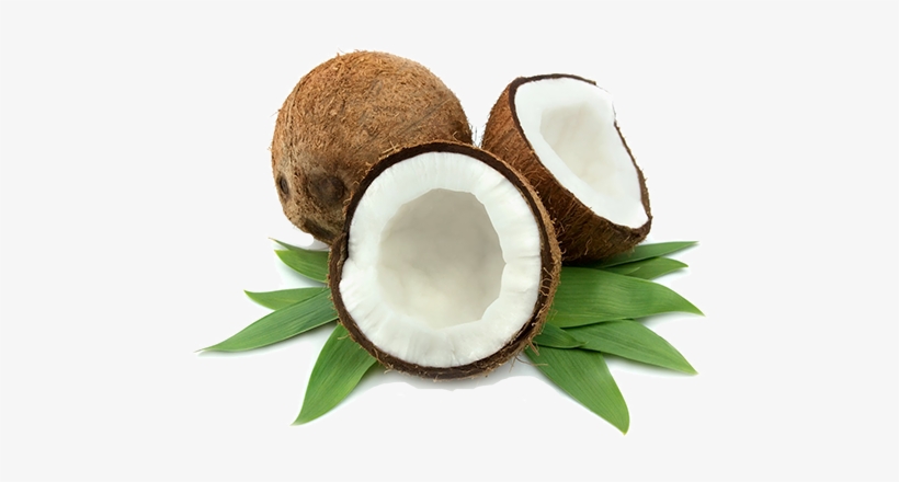 Proven Research On The Benefits Of Virgin Coconut Oil - Tan Smoothie Organic Self Tanning Mousse With Instant, transparent png #384726