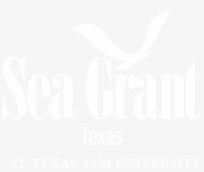 Sea Grant Texas, transparent png #385039