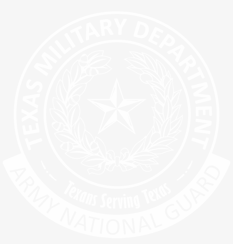 Texas Air National Guard Logo - Texas Military Department National Guard, transparent png #385057