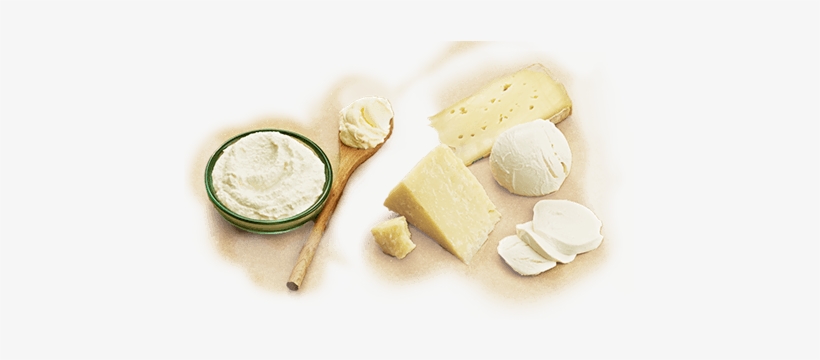 Parmigiano Reggiano Is A D - Beyaz Peynir, transparent png #385097