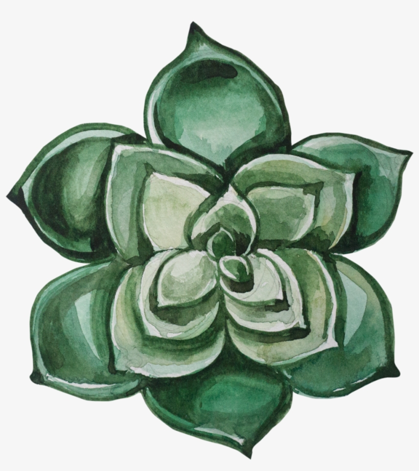 12 - Succulent Plant, transparent png #385355