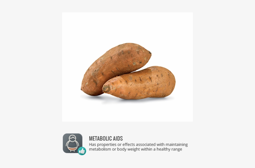 Tags - - 1 Single Sweet Potato, transparent png #385534