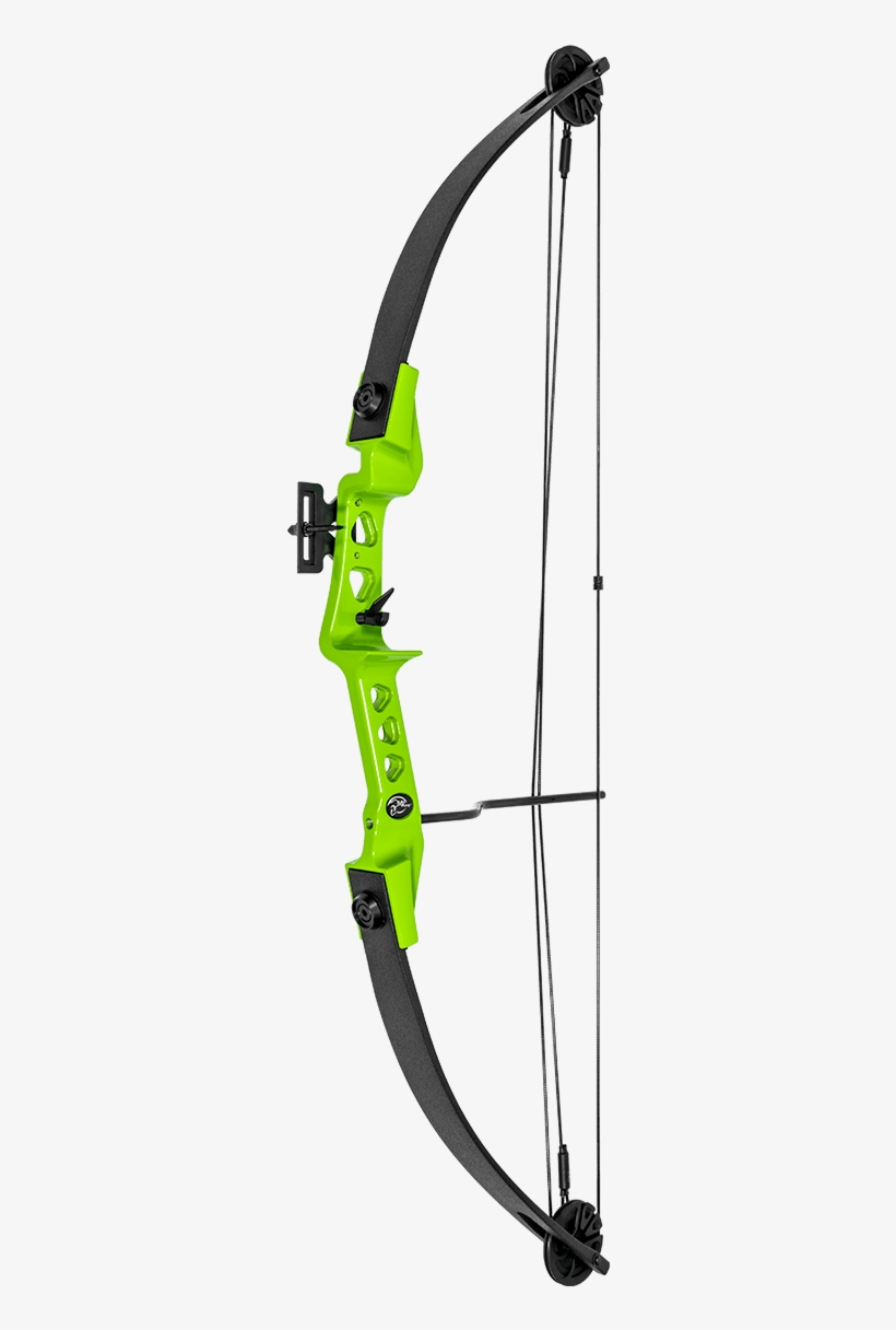 Archery Bow - Kind Of Bow Of Archery, transparent png #385996