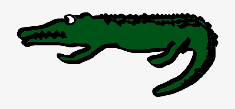 Mb Image/png - Buaya Animasi, transparent png #386535