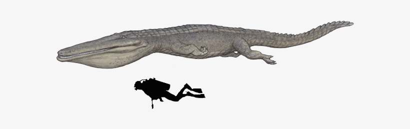 Stomatosuchus Inermis Was A 10 Metres (33 Ft - Stomatosuchus, transparent png #386744