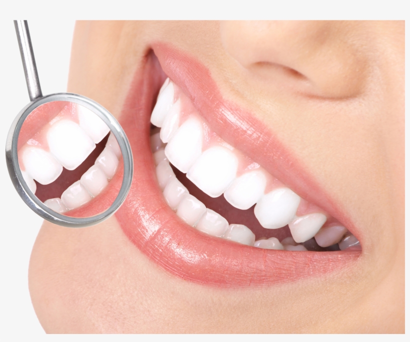 Certain Qualities That You Should Always Look In A - Mokao Useful Clear Dental Camera 8mp Usb 2.0 6-led, transparent png #387113