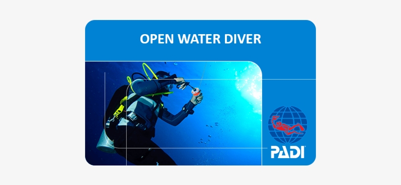 Padi Open Water Diver - Padi Open Water Diver Card, transparent png #387595