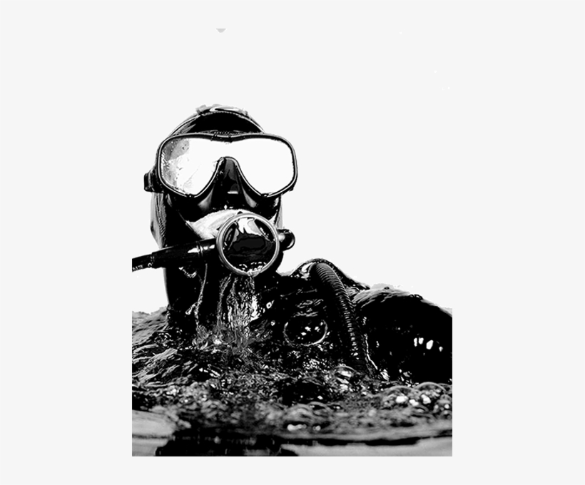 Dive Courses By Padi - Dead Men's Silver: The Story Of Australia's Greatest, transparent png #387598