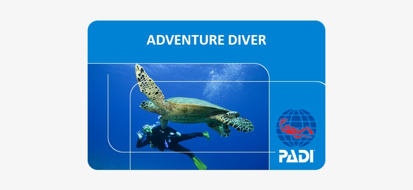 Padi Adventure Diver Course - Padi Open Water Diver Card, transparent png #387801
