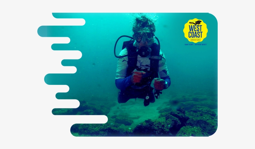 Open Water Scuba Diver Certification - Kaup Beach Scuba Diving, transparent png #388028