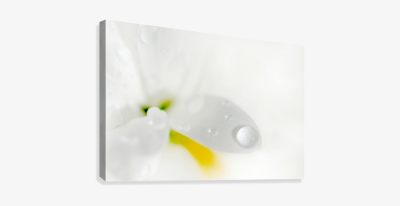 One Droplet Canvas Print - Photography, transparent png #389894