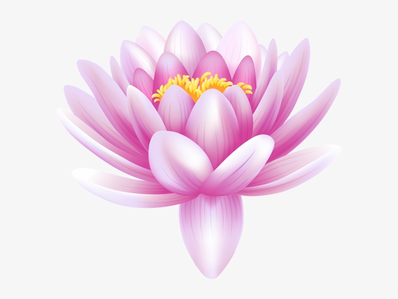 Water Lily Transparent Png Clip Art Image - Water Lily Flower Png, transparent png #389898