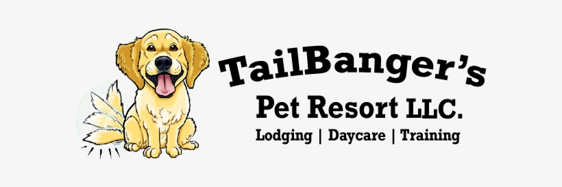 Tailbangers Pet Resort - Dog, transparent png #3800597