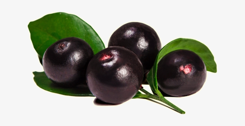 Açaí Fruta Png - Acai Berries, transparent png #3800625